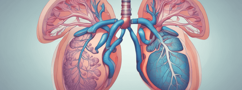 Lung Function Tests