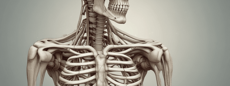 Structure and Functions of the Skeletal System