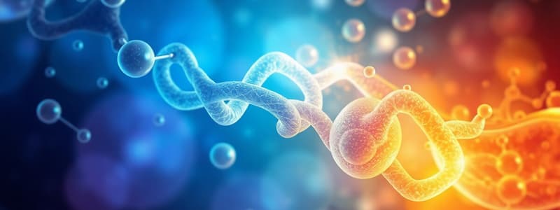 Metabolism and Enzymes Overview