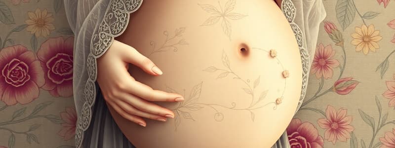 Pregnancy Length and Trimesters Overview