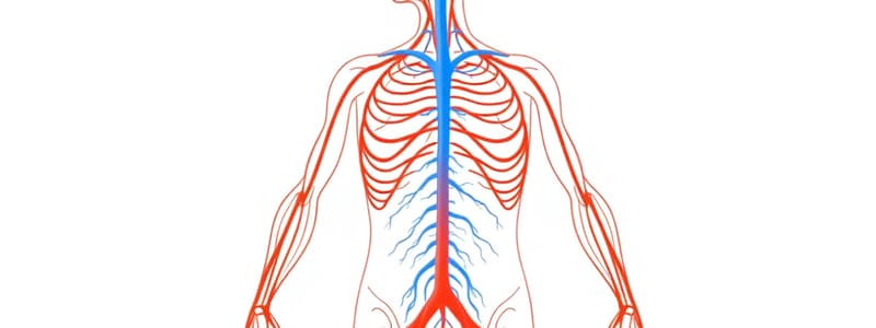 Autonomic Nervous System Overview