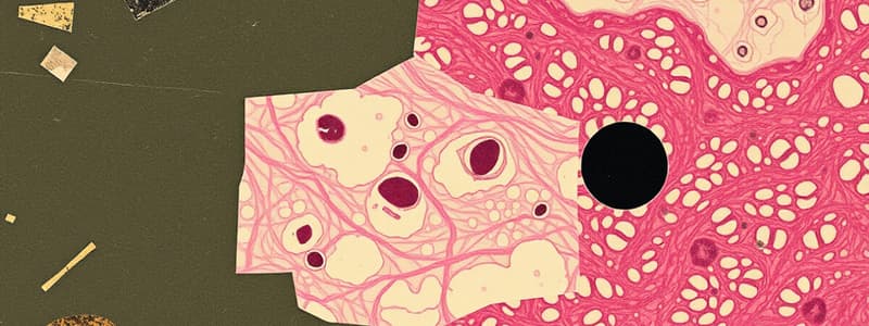 Epithelial Tissue Types Quiz