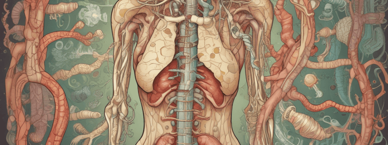 Sistema Gastrointestinal