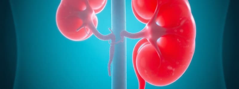 Síndrome Urémico: Características y Cuadro Clínico
