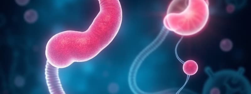 Glucose and Lipid Metabolism