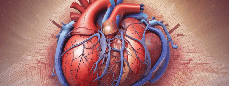 Pericardial Layers and Function Quiz