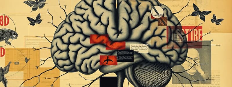 AHE: BLOCK 2: INTRO TO NERVOUS SYSTEM; CNS 1 (OF 2)