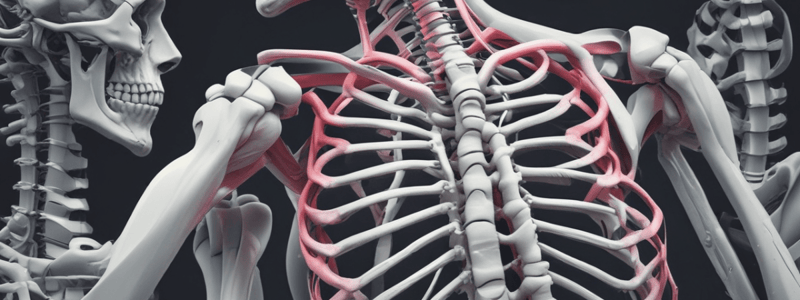 Locomotory System: Bones, Muscles, and Joints