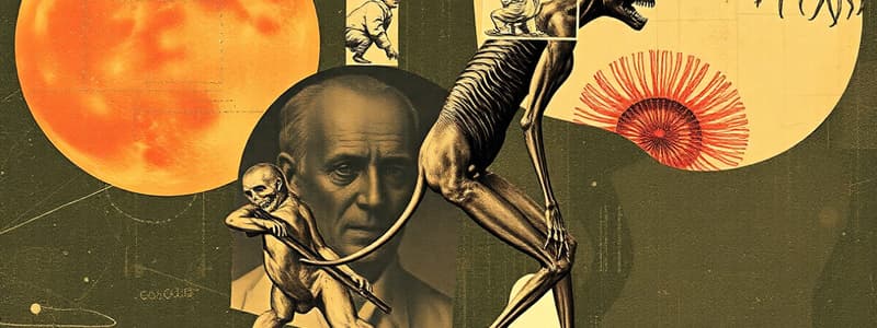 Human Evolution: Key Developments & Timeline