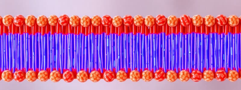 Cell Membrane Structure and Transport Quiz