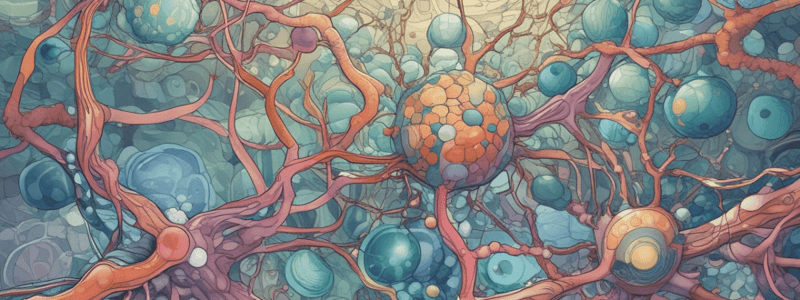 Cell Structure Overview