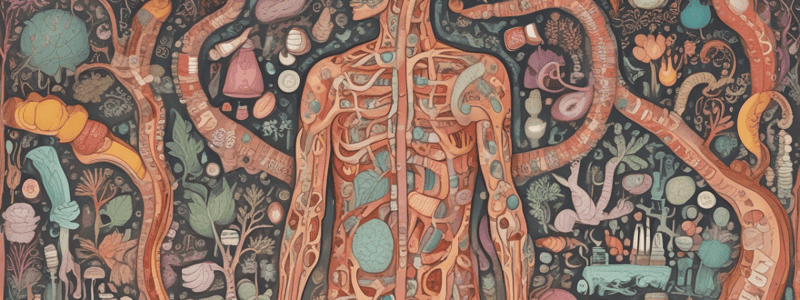 Coeliac Disease: Clinical Key Findings and Practical Insights