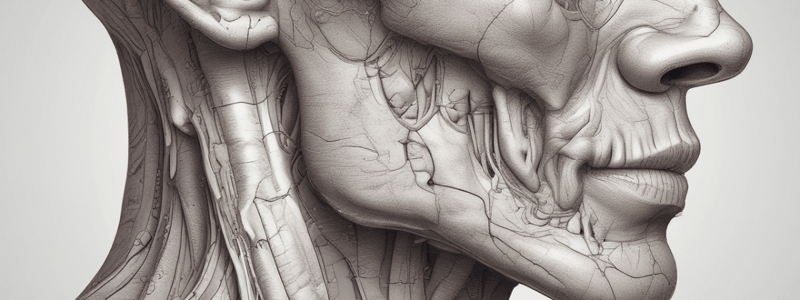 Anatomy of Parotid Gland