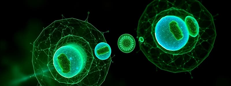 Cell Cycle Overview