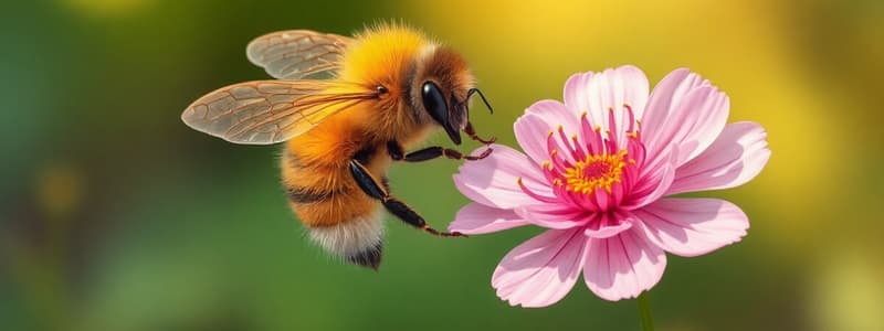 Pollinator Conservation Quiz