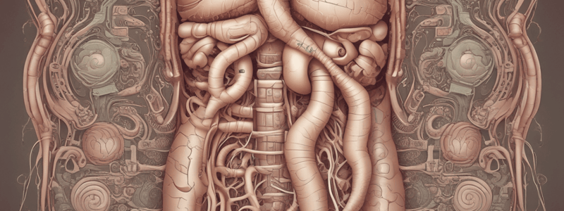 MBBS Year 1 Gastrointestinal Lectures