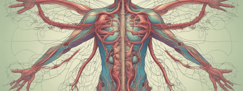 Lymphatic and Immune System