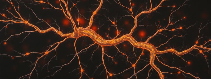 Synapses and Neuronal Integration