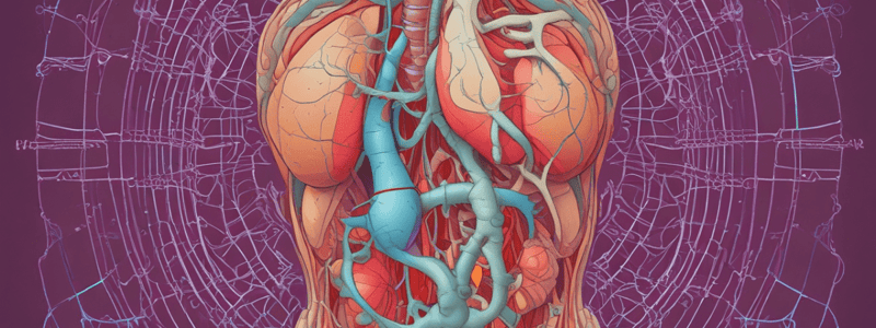 Lecture 2 - Urinary System  A+P 2