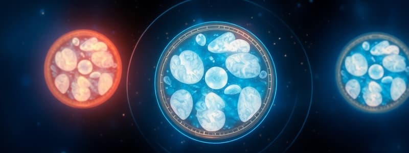 Metformin and CT Scans Overview