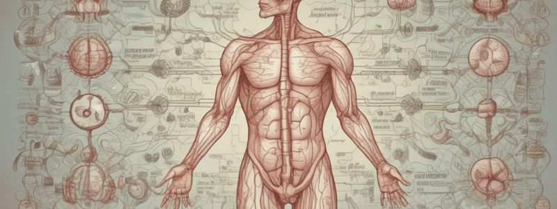 Endocrine System and Respiratory system