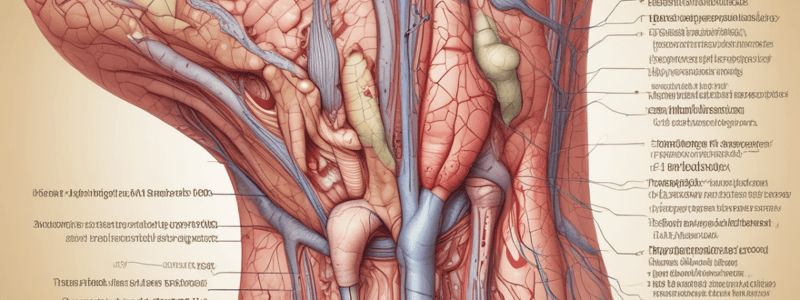 Integumentary System Module 7.1