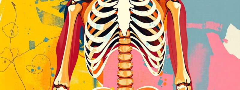 Musculoskeletal System Overview