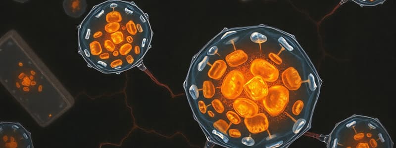 Cell Biology Quiz: Stem Cells Overview