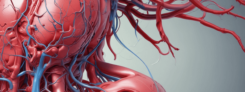 Anatomy Terminology Quiz: Arteries, Auricular Muscles, Nerves, and Blood Vessels