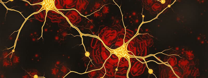 PSYU2236 W3 | The Synapse and Action Potentials