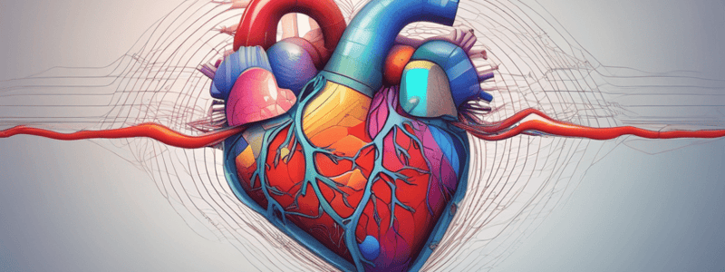 Physiology of the Heart