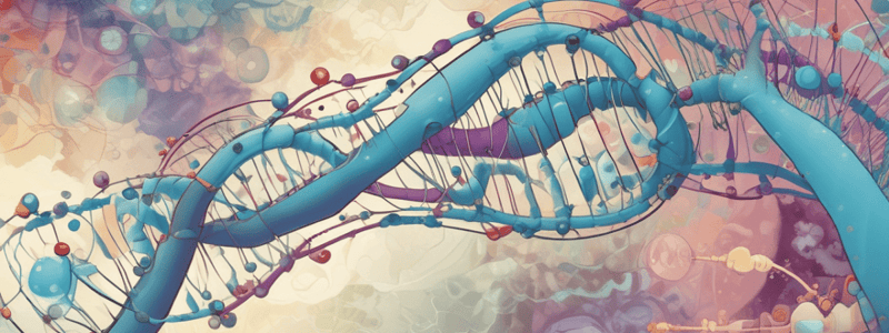 Protein Synthesis Process