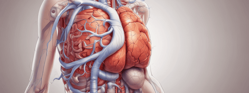 Physiology: Gastrointestinal