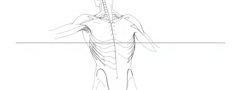 Relazione Forza-Frequenza e Forza-Lunghezza Muscolare (Fisio 17)