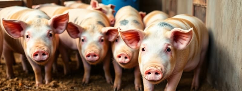 Basic Agricultural Knowledge: Swine Industry