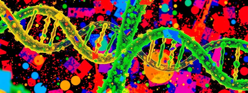 DNA Replication in Prokaryotes