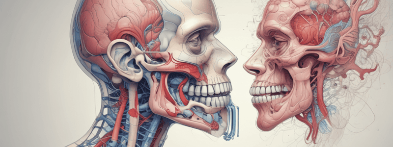 Respiratory System