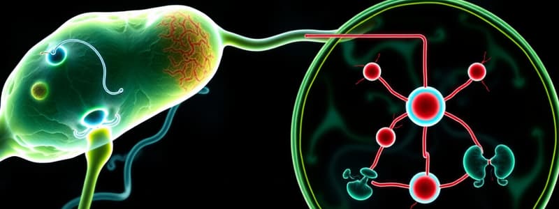 Cellular Respiration Overview Quiz