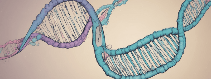 Chromosomal Abnormalities