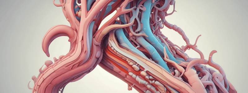 Overview of the Gastrointestinal Tract