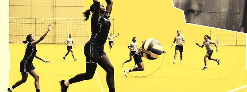 Sports Categories and Volleyball Basics