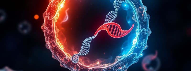 Cell Division and Chromosomes