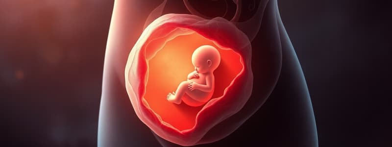 Formación y Funciones de la Placenta