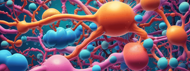 Protein Synthesis and Secretion Process in Cells