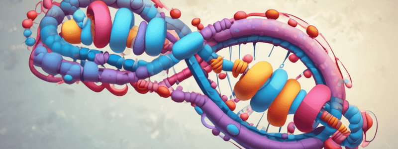 DNA Structure and Nucleosomes