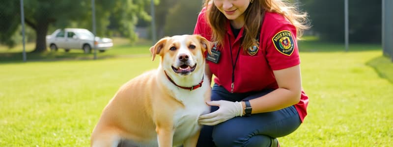 Animal Control and Shelters Overview