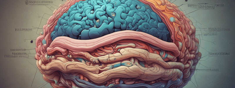 Meningeal Layers in Gray's Anatomy