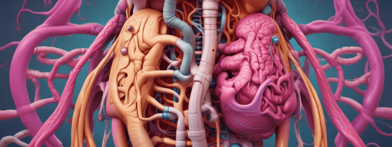 Digestive System Structures and Functions Quiz