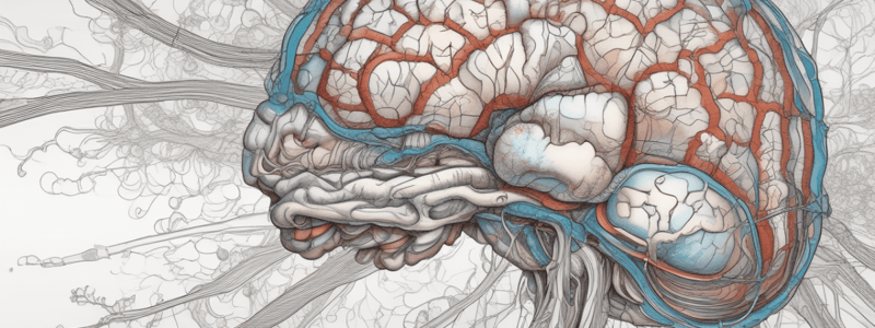 Psychologie: Gliazellen und Neurone