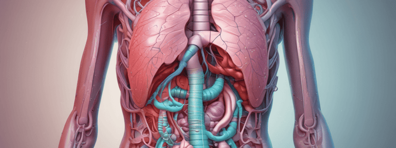 Digestive System: Esophagus and Stomach (2nd Class, Dentistry)